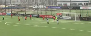 Samenvatting AFC - HHC Hardenberg